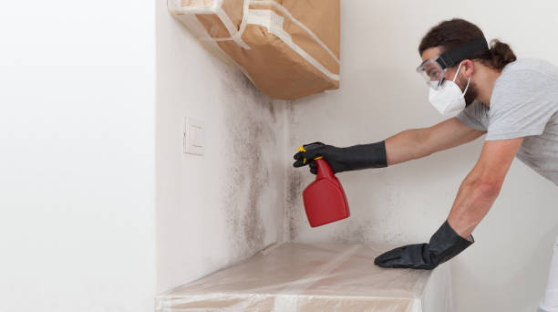 Professional Hvac And Air Duct Mold Remediation technician working in Bordentown, NJ